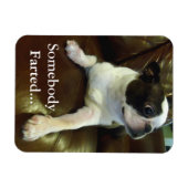 Flexible Amusant Farting Boston Terrier Magnet (Horizontal)