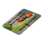 Flexible Anniversaire Ladybugs Photo Magnet (Côté Gauche)