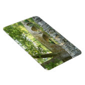 Flexible Antietam : Magnet photo du pont de Burnside (Côté Droit)