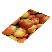 Flexible Apple Photo Magnet (Côté Gauche)