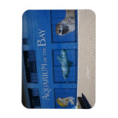 Flexible Aquarium SF de la Baie Magnet (Vertical)