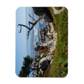 Flexible Arbre fantôme - Magnet Pittoresque de 17 miles du  (Vertical)