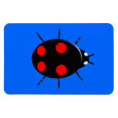 Flexible Arlequin Ladybird Premium Magnet (Horizontal)