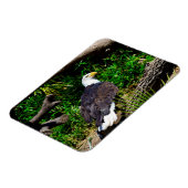 Flexible Bald Eagle - Magnet (Côté Gauche)