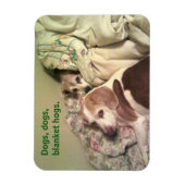 Flexible Beagle "Chiens, Chiens, Porcs Blanches" Magnet 3x4 (Vertical)