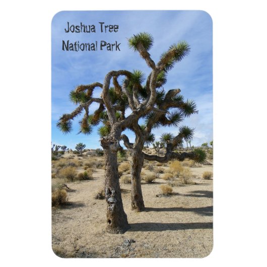 Flexible Beau Joshua Tree Premium Magnet ! (Vertical)
