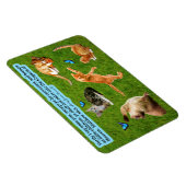 Flexible Beau Kitten Écriture Magnet Matthieu 18:3 (Côté Droit)