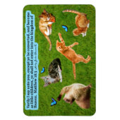 Flexible Beau Kitten Écriture Magnet Matthieu 18:3 (Vertical)