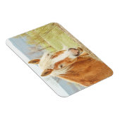 Flexible Beau Palomino Farm Horse Magnet (Côté Droit)