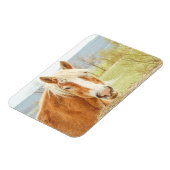 Flexible Beau Palomino Farm Horse Magnet (Côté Gauche)