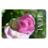 Flexible Beau Rose Bud Love Magnet (Horizontal)