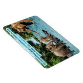 Flexible Belle Écriture éléphante Magnet Luke 6:31 (Côté Droit)