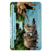 Flexible Belle Écriture éléphante Magnet Luke 6:31 (Vertical)