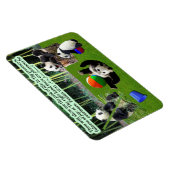 Flexible Belle écriture Panda Magnet Psaumes 16:11 (Côté Droit)