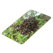 Flexible Blackberry Bonanza Premium Magnet (Côté Gauche)