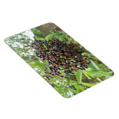 Flexible Blackberry Bonanza Premium Magnet (Côté Droit)