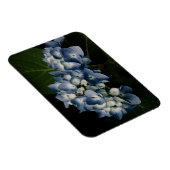 Flexible Blue Hydrangea 8514 Magnet Premium (Côté Droit)