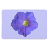 Flexible Blue Petunia Premium Magnet (Horizontal)