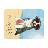 Flexible Bordure d'été Collie Magnet (Horizontal)