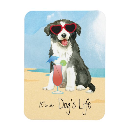 Flexible Bordure d'été Collie Magnet (Vertical)