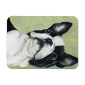 Flexible Boston Terrier Dog Art Magnet (Horizontal)