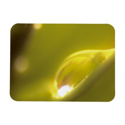 Flexible Bouchon d'eau Magnet Premium 3 (Horizontal)