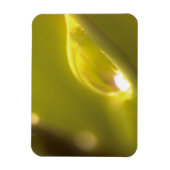 Flexible Bouchon d'eau Magnet Premium 3 (Vertical)