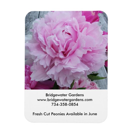 Flexible Bridgewater Gardens Peonies Magnet (Vertical)
