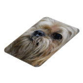 Flexible Bruxelles Griffon Magnet (Côté Gauche)