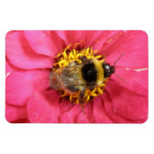 Flexible Bumblebee Premium Magnet (Horizontal)