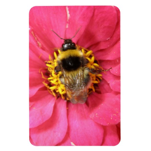 Flexible Bumblebee Premium Magnet (Vertical)