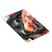 Flexible Bumblesnot Magnet : du bacon ? (Côté Droit)