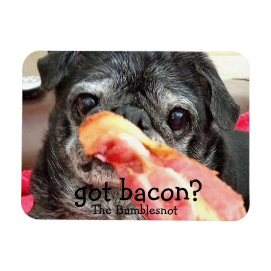 Flexible Bumblesnot Magnet : du bacon ? (Horizontal)