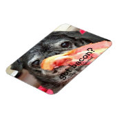 Flexible Bumblesnot Magnet : du bacon ? (Côté Gauche)