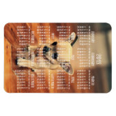 Flexible Calendrier Chihuahua 2018 Magnet photo 4x6 grand (Horizontal)