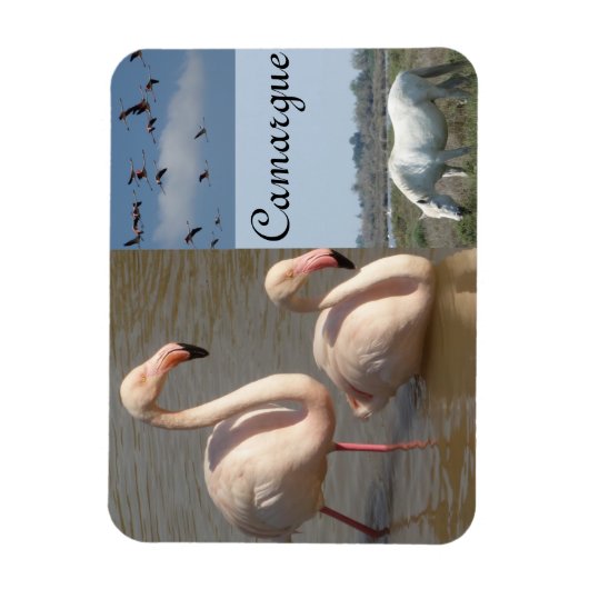 Flexible Camargue Magnet (Vertical)