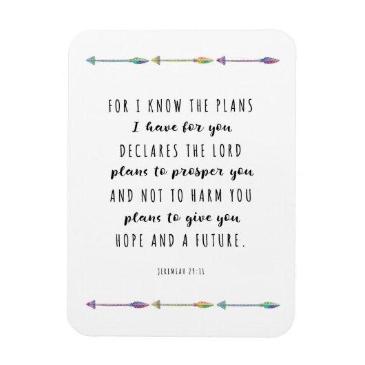 Flexible Car je connais les plans que j'ai pour vous Magnet (Vertical)