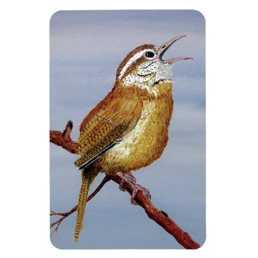 Flexible Carolina Wren Magnet (Vertical)