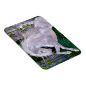 Flexible Certains Enchantés Soirée Flexi Magnet (Côté Droit)