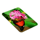 Flexible Cethosia biblis Premium Magnet (Côté Droit)