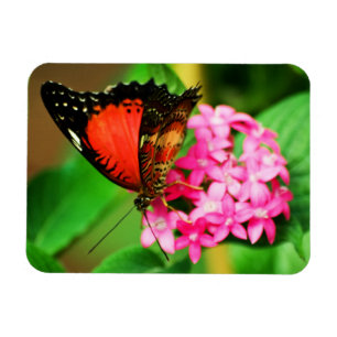 Flexible Cethosia biblis Premium Magnet