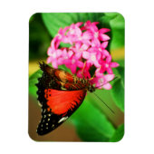 Flexible Cethosia biblis Premium Magnet (Vertical)