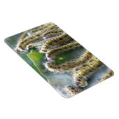 Flexible Chou affamé Blanc Caterpiliers Premium Magnet (Côté Droit)