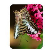 Flexible Clipper sur Pentas 3 Magnet Premium (Vertical)