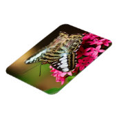 Flexible Clipper sur Pentas 3 Magnet Premium (Côté Gauche)