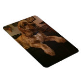 Flexible Cocker Spaniel Magnet (Côté Droit)