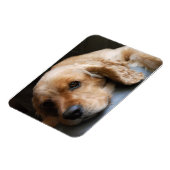 Flexible Cocker Spaniel Premium Magnet (Côté Gauche)