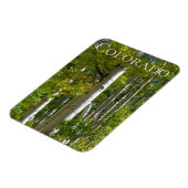 Flexible Colorado Aspens Designer Fridge Magnet (Côté Gauche)
