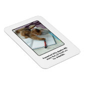 Flexible Comptable Kitty Magnet (Côté Droit)