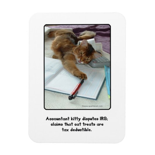Flexible Comptable Kitty Magnet (Vertical)